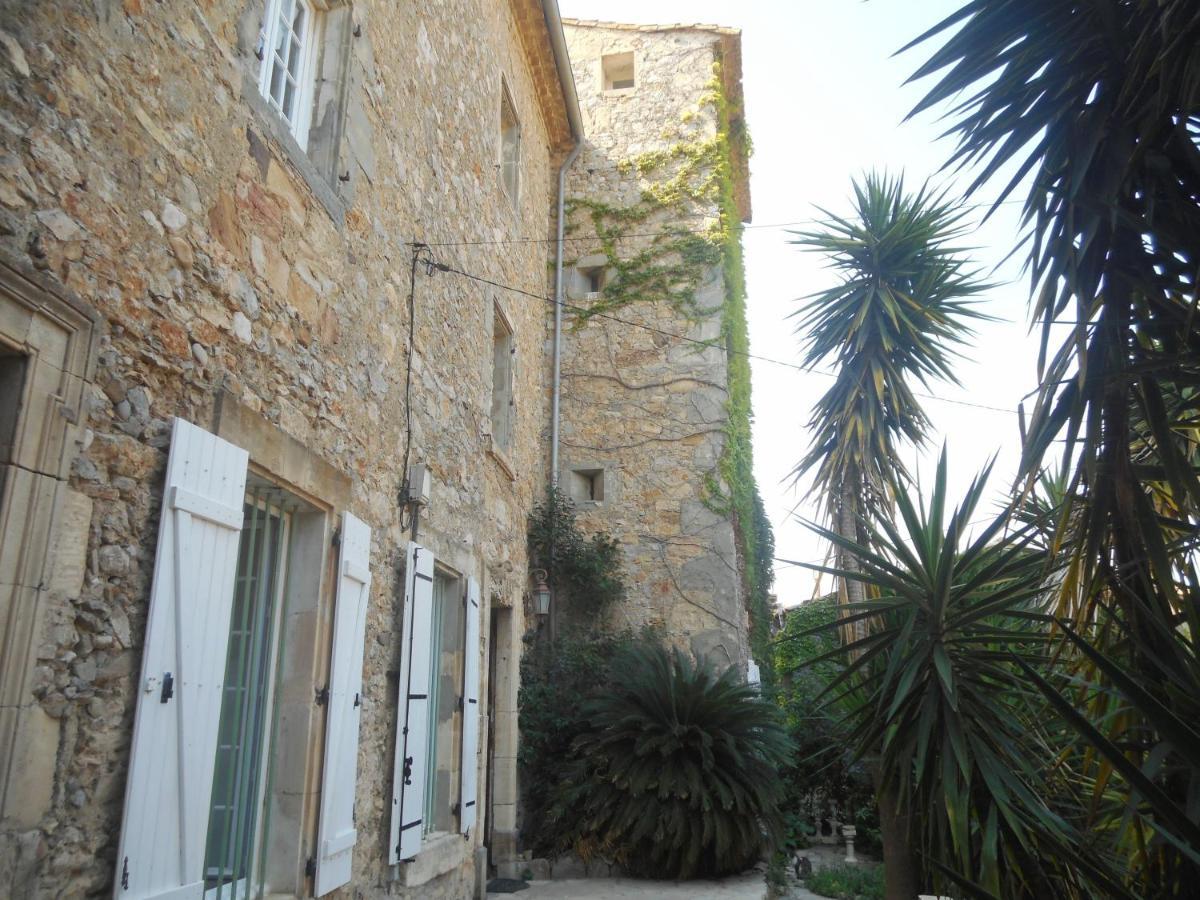 Logis De La Meschaussee, Dans Donjon Du Xie Siecle Canet  Dış mekan fotoğraf