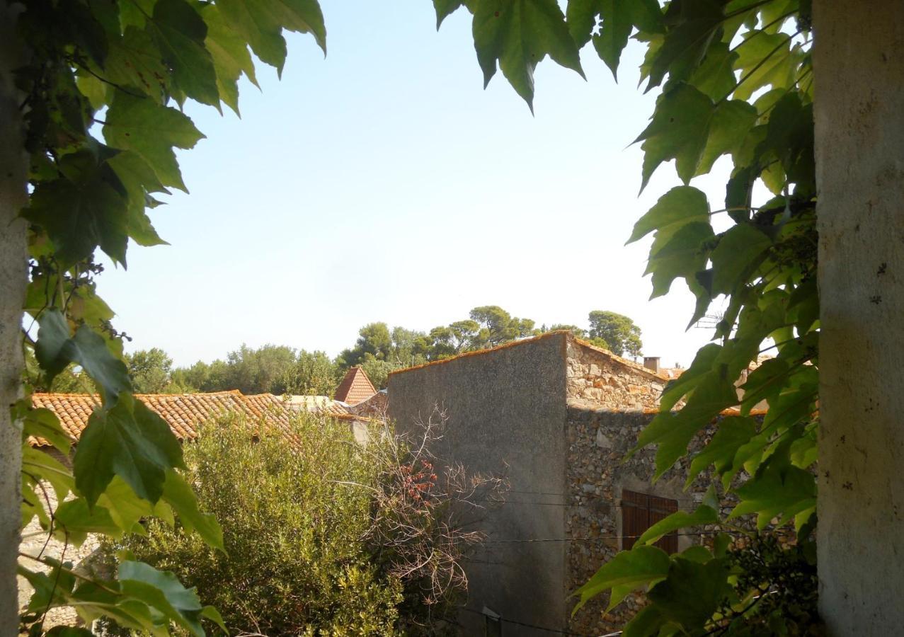 Logis De La Meschaussee, Dans Donjon Du Xie Siecle Canet  Dış mekan fotoğraf