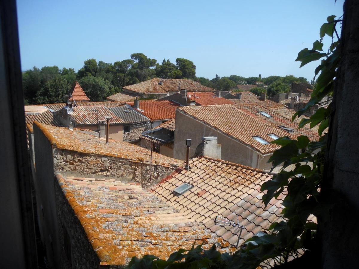 Logis De La Meschaussee, Dans Donjon Du Xie Siecle Canet  Dış mekan fotoğraf